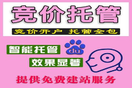 SEM托管服务，实战案例深度剖析
